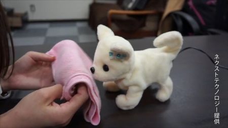   اخبارعلمی,خبرهای علمی,ربات