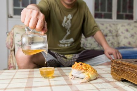   اخبارگوناگون ,خبرهای  گوناگون, حیوانات خانگی عجیب و غریب