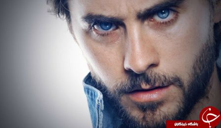 اخبار,اخبارگوناگون, چشم آبی‌ها با هم فامیل هستند