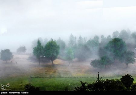 اخبار,اخبارگوناگون, روستای شاه شهیدان در گیلان