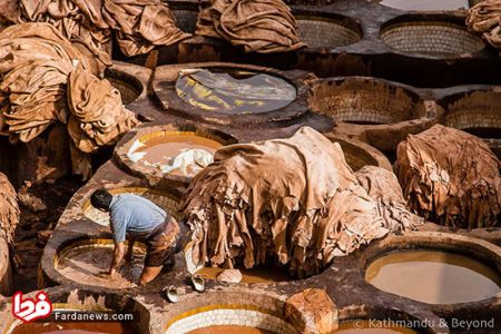 اخبار,اخبار امروز,اخبار جدید