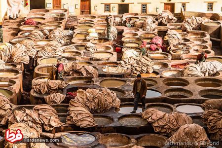 اخبار,اخبار امروز,اخبار جدید