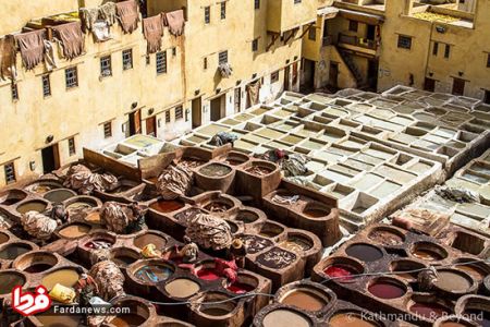 اخبار,اخبار امروز,اخبار جدید