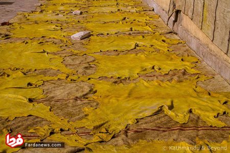 اخبار,اخبار امروز,اخبار جدید