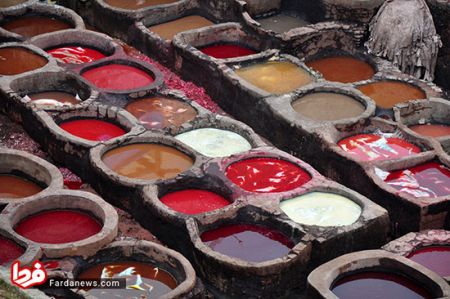 اخبار,اخبار امروز,اخبار جدید