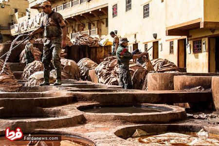 اخبار,اخبار امروز,اخبار جدید