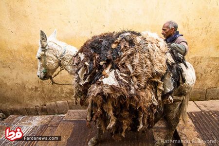 اخبار,اخبار امروز,اخبار جدید