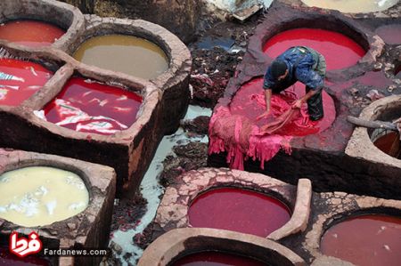 اخبار,اخبار امروز,اخبار جدید