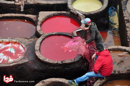 اخبار,اخبار امروز,اخبار جدید