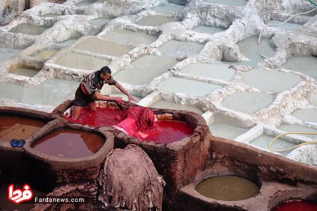 اخبار,اخبار امروز,اخبار جدید