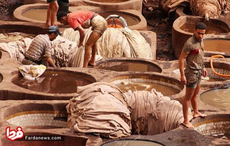 اخبار,اخبار امروز,اخبار جدید