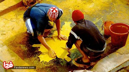 اخبار,اخبار امروز,اخبار جدید