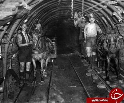 اخبار,اخبار گوناگون,زندگی زیرزمینی بریتانیا