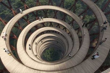 اخبار,اخبار گوناگون,پیاده راه ۷۰۰ متری در ارتفاع ۴۵ متری جنگل