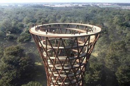 اخبار,اخبار گوناگون,پیاده راه ۷۰۰ متری در ارتفاع ۴۵ متری جنگل