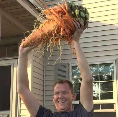 اخبار,اخبار گوناگون,بزرگترین هویج جهان