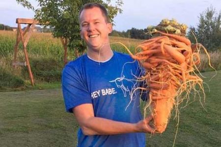 اخبار,اخبار گوناگون,بزرگترین هویج جهان