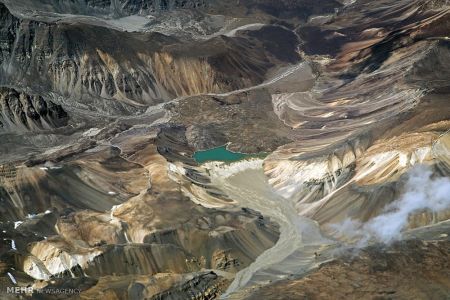 اخبار,اخبارگوناگون, عکس های مسابقه انجمن بیولوژی انگلیس