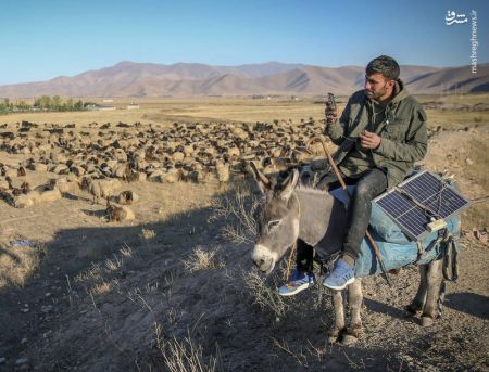 اخبار,اخبارگوناگون, چوپانی در عصر ارتباطات