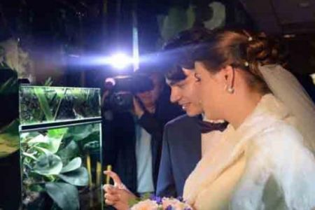   اخبار گوناگون ,خبرهای گوناگون ,جشن عروسی در باغ وحش