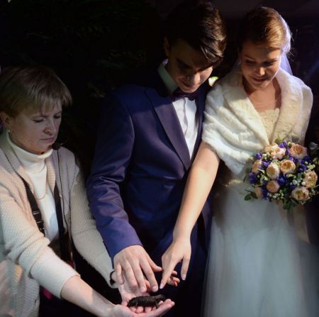   اخبار گوناگون ,خبرهای گوناگون ,جشن عروسی در باغ وحش