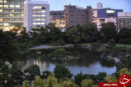   اخبارگوناگون ,خبرهای  گوناگون, سبزانگشتی‌ها 