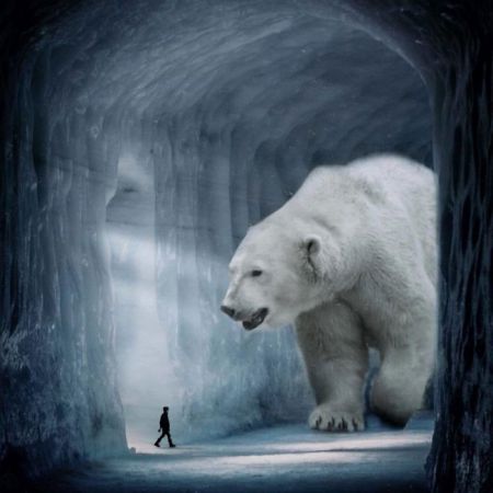   اخبار گوناگون ,خبرهای  گوناگون, عکس‌های هنری حیوانات  