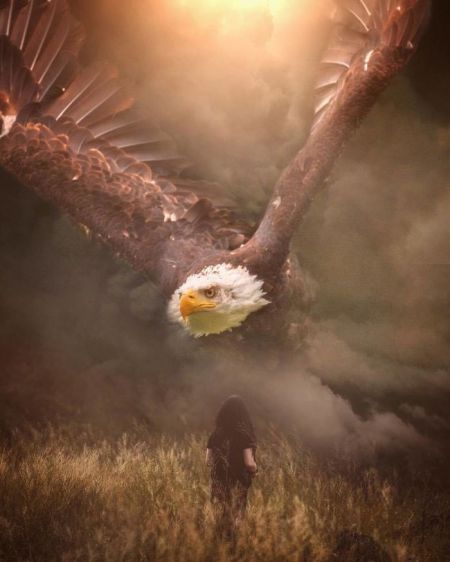   اخبار گوناگون ,خبرهای  گوناگون, عکس‌های هنری حیوانات  