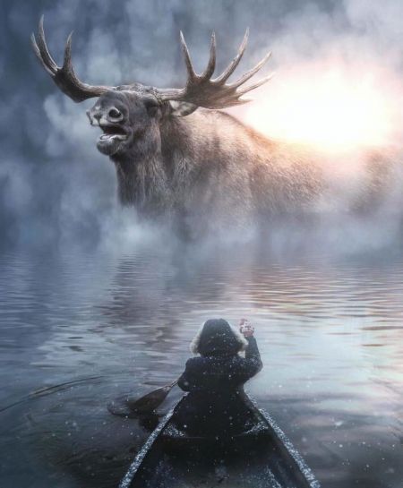   اخبار گوناگون ,خبرهای  گوناگون, عکس‌های هنری حیوانات  