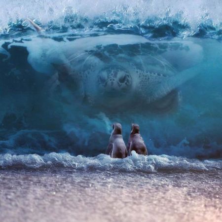   اخبار گوناگون ,خبرهای  گوناگون, عکس‌های هنری حیوانات  