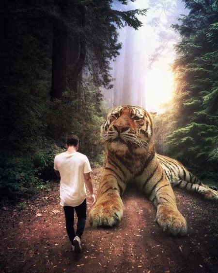   اخبار گوناگون ,خبرهای  گوناگون, عکس‌های هنری حیوانات  