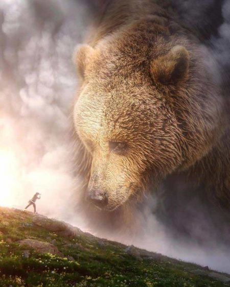   اخبار گوناگون ,خبرهای  گوناگون, عکس‌های هنری حیوانات  