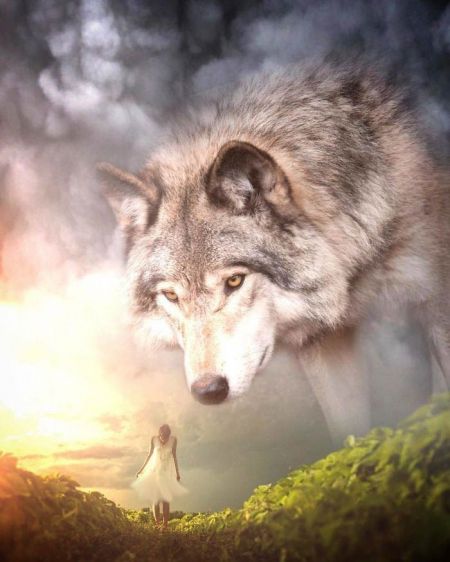   اخبار گوناگون ,خبرهای  گوناگون, عکس‌های هنری حیوانات  