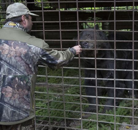   اخبارسیاسی ,خبرهای  سیاسی , لحظه رهایی خرسی 