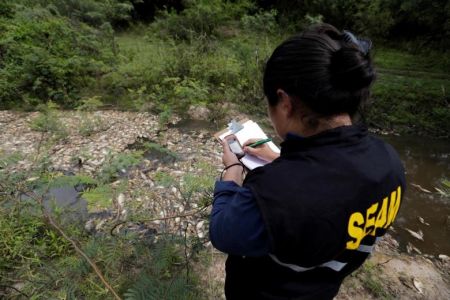  اخبارگوناگون ,خبرهای گوناگون,مرگ هزاران ماهی