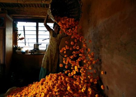   اخبارگوناگون ,خبرهای گوناگون,  جشن پر از رنگ و نور در هند