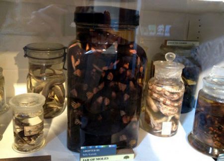 اخبار,اخبار گوناگون,عجایب ترسناک دنیای پزشکی