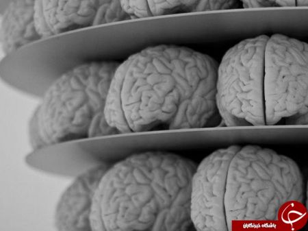 اخبار,اخبارگوناگون,خیالبافها باهوشترند