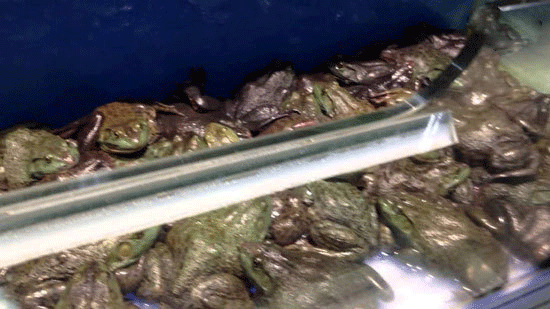 اخبار,اخبار امروز,اخبار جدید