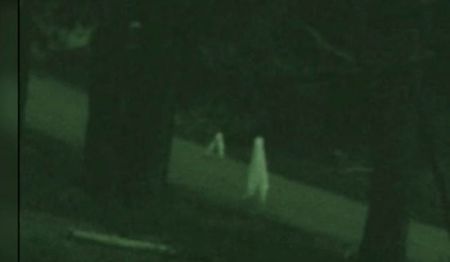 اخبار,اخبارگوناگون,معماهای اسرارآمیزی که هرگز حل نشدند