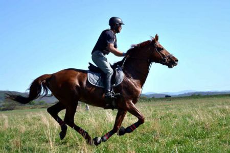 اخبار,اخبارگوناگون,مشاغلی که نمی‌دانستید وجود دارند