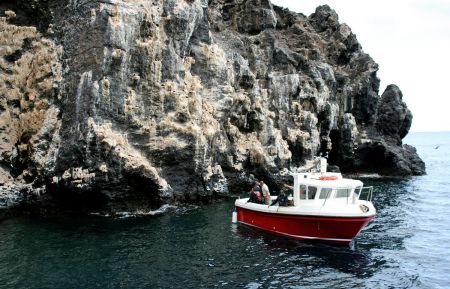 اخبار,اخبارگوناگون, بی‌مصرف‌ترین فرودگاه جهان در جزیره‌ای دورافتاده‌