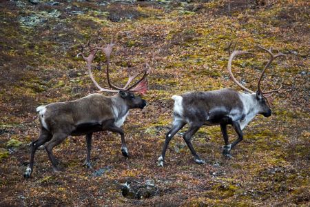 اخبار,اخبار امروز,اخبار جدید