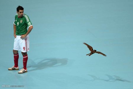 اخبار,اخبار امروز,اخبار جدید