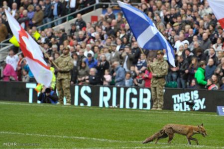 اخبار,اخبار امروز,اخبار جدید