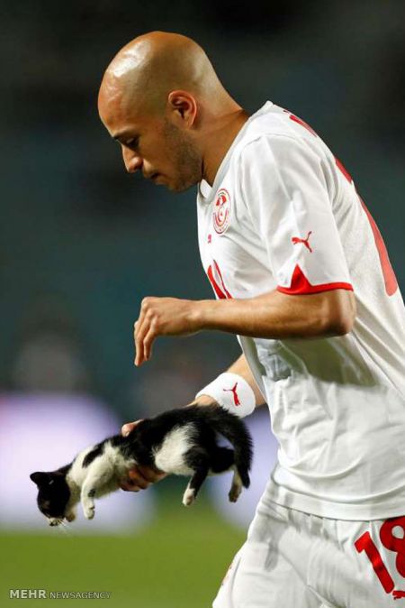 اخبار,اخبار امروز,اخبار جدید