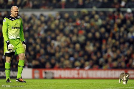 اخبار,اخبار امروز,اخبار جدید