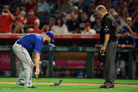 اخبار,اخبار امروز,اخبار جدید