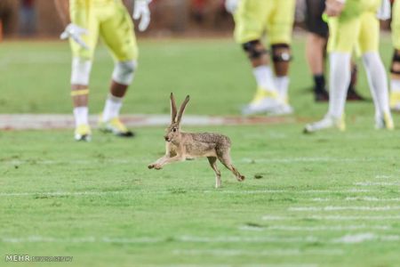 اخبار,اخبار امروز,اخبار جدید