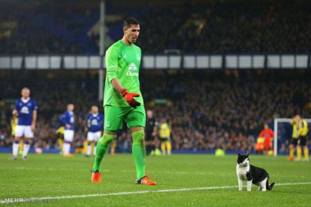 اخبار,اخبار امروز,اخبار جدید